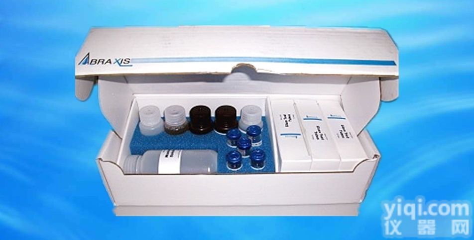 ras<em>同源</em>物基因家族成员b（RHOB）ELISA<em>定量分析</em>试剂盒