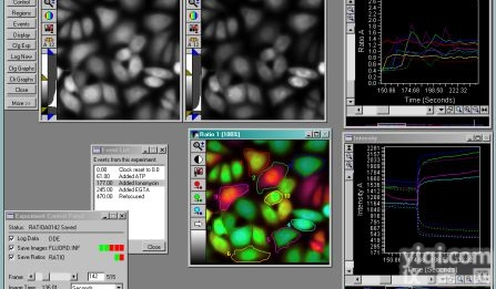 Sutter光源  <em>钙通道离子成像工作站</em>