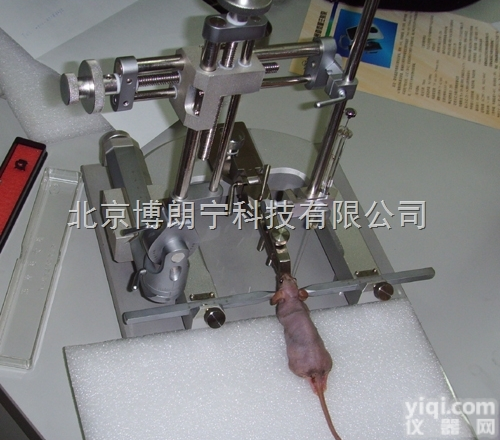 hamilton<em>动物</em><em>注射器</em>