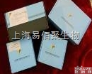 <em>WBC1094  马外周血白细胞分离液试剂盒（分子生物学及细胞培养专用）</em>