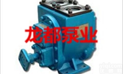 200YHCB-200圆弧泵/汽油柴油泵/抽油泵/船用泵/<em>齿轮</em>泵<em>尼龙</em>轮