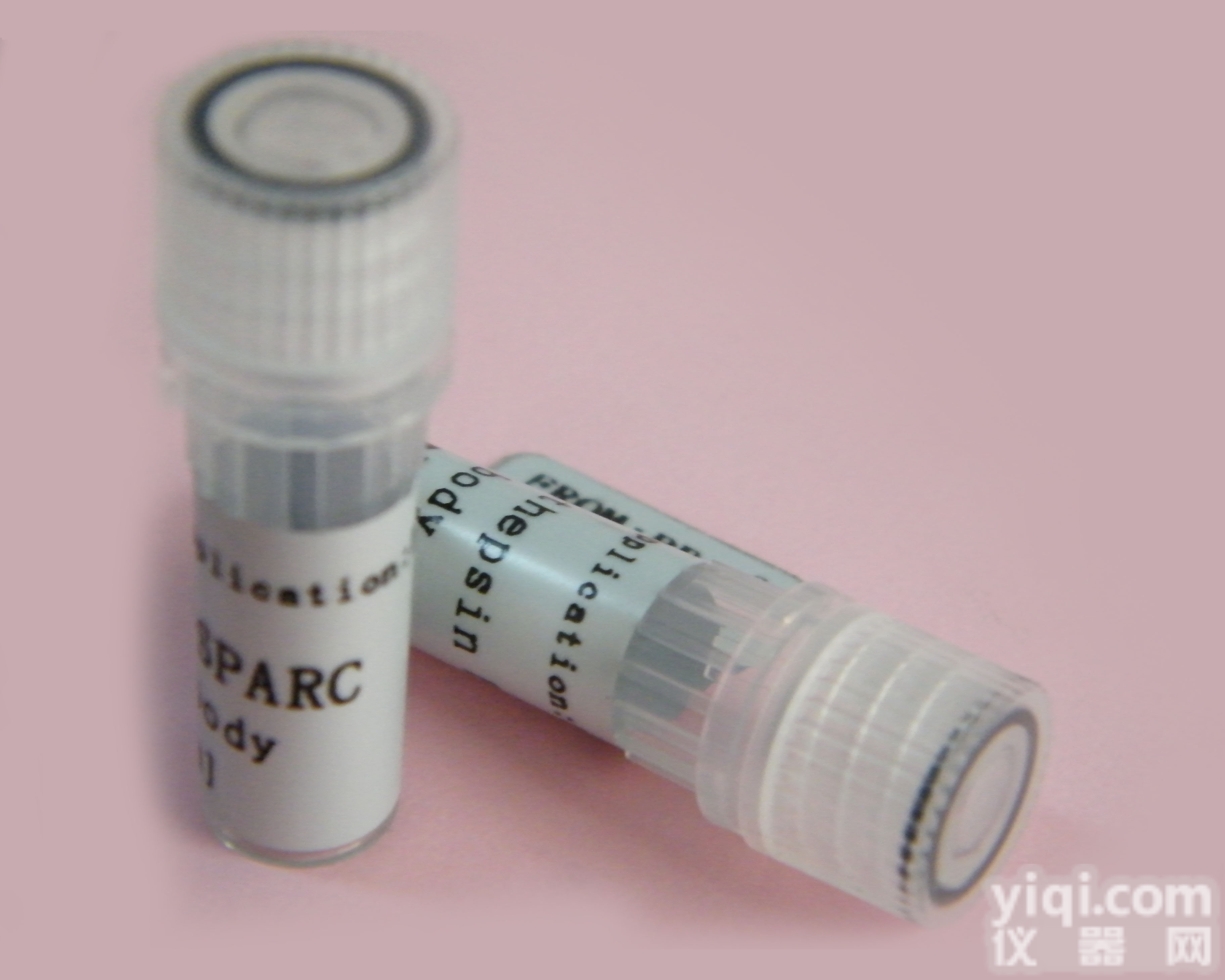 C-藻<em>蓝素</em>/<em>藻蓝蛋白</em>/藻青蛋白抗体c-phycocyanin