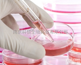 SU-DHL-1 人弥漫性<em>组织</em><em>细胞</em>性<em>淋巴瘤</em>