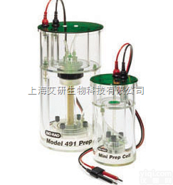 美国伯乐491型<em>制备</em><em>电泳槽</em>和小型<em>制备</em><em>电泳槽</em>货号1702926