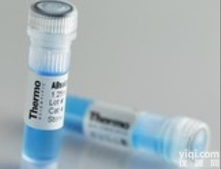 测定<em>猪瘟</em>病毒E2<em>抗体</em>,Anti-CSFV E2<em>抗体</em>【说明书】