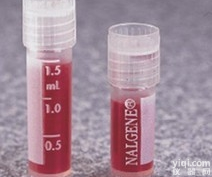 Anti-MAN2C1<em>抗体</em>,甘露<em>糖苷酶</em>α胞浆<em>抗体</em>