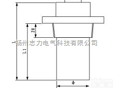 SRY2-1/SRY2-2型  <em>螺纹</em>式护套式油<em>电加热器</em>