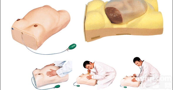 妇幼<em>模型</em>|高级电脑<em>孕妇</em><em>检查</em><em>模型</em>