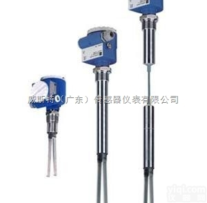 E+H音叉开关FTL<em>开头</em>型号查询