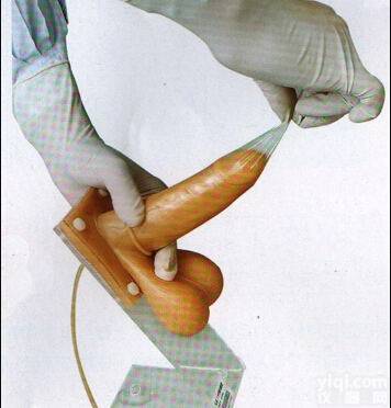 妇幼<em>模型</em>|护理技能训练<em>模型</em>|男性避孕套<em>练习</em><em>模型</em>