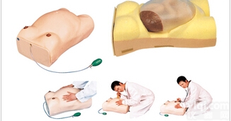 妇幼<em>模型</em>|高级电脑<em>孕妇</em><em>检查</em><em>模型</em>