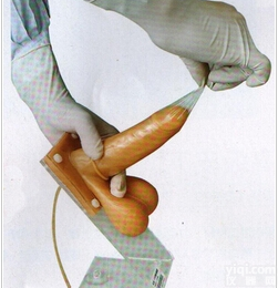 妇幼<em>模型</em>|护理技能训练<em>模型</em>|男性避孕套<em>练习</em><em>模型</em>