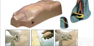 ZX<em>静脉注射</em><em>穿刺</em><em>躯干</em>训练模型