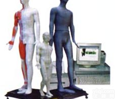 中医<em>针灸</em><em>教学模型</em>|光电感应键控人体<em>针灸</em>穴位发光模型