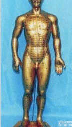 人体针灸<em>模型</em>|全<em>皮肤</em>铜色人体针灸<em>模型</em>（68CM）