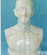 <em>头部</em>四功能<em>针灸</em><em>腧穴</em>模型