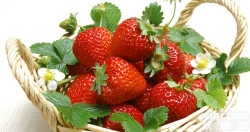 C2  <em>草莓</em><em>浓缩粉</em>/<em>草莓</em><em>提取物</em>/<em>草莓</em>粉