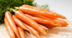 X3  <em>胡萝卜</em>浓缩粉/<em>胡萝卜</em>粉/<em>胡萝卜</em>提取物