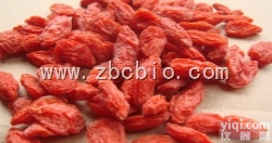 V46  <em>枸杞</em><em>浓缩粉</em>/<em>枸杞</em>提取物/<em>枸杞</em>粉