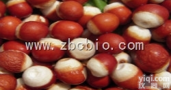 E1  <em>芡实</em>浓缩粉/<em>芡实</em><em>提取物</em>/<em>芡实</em>粉