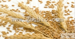 K9  <em>燕麦</em>粉/<em>燕麦</em>提取物/<em>燕麦</em><em>浓缩粉</em>