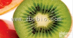 M89  <em>猕猴</em>桃浓缩粉/<em>猕猴</em>桃提取物/<em>猕猴</em>桃粉