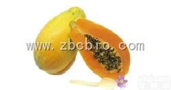 J6  木瓜浓缩粉/木瓜提取物/<em>木瓜粉</em>