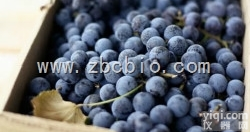 Q6  黑<em>加仑</em>浓缩粉/黑<em>加仑</em><em>提取物</em>/黑<em>加仑</em>粉