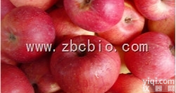 A3  苹果<em>浓缩粉</em>/苹果提取物/<em>水蜜桃</em>粉