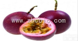 W7  <em>西番莲</em><em>浓缩粉</em>/<em>西番莲</em>提取物/<em>西番莲</em>粉