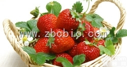 M6  <em>草莓</em><em>浓缩粉</em>/<em>草莓</em><em>提取物</em>/<em>草莓</em>粉