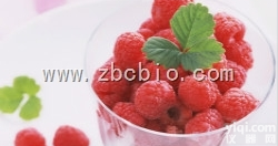 V6  红<em>树莓</em>粉/红<em>树莓</em>提取物/红<em>树莓</em>浓缩粉