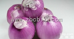 D6  <em>洋葱</em>粉/<em>洋葱</em><em>提取物</em>/<em>洋葱</em>浓缩粉