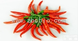 S0  <em>辣椒</em>粉/<em>辣椒</em><em>提取</em>物/<em>辣椒</em>浓缩粉