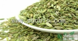 H9  <em>小茴香</em>粉/ <em>小茴香</em>提取物/ <em>小茴香</em>浓缩粉