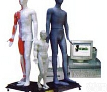 多媒体人体<em>针灸</em>模型|<em>光电</em>感应键控人体<em>针灸</em><em>穴位</em>发光模型