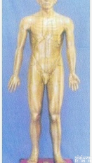 <em>针灸</em><em>模型</em>｜<em>针灸</em><em>穴位</em><em>模型</em>｜人体<em>针灸</em><em>模型</em>（女性48CM）