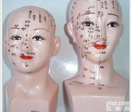 <em>针灸</em>教学<em>模型</em>|女性人体<em>头部</em><em>针灸</em>穴位<em>模型</em>（女头针穴<em>模型</em>）