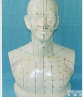 <em>针灸</em><em>模型</em>|大型人体头部<em>针灸</em>穴位<em>模型</em>（头部四功能<em>针灸</em>腧穴<em>模型</em>）