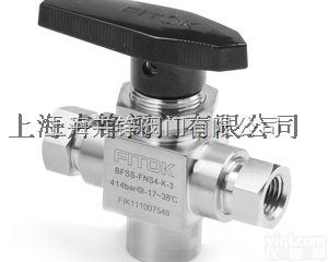 BFSS-FNS  美国飞<em>托克</em><em>FITOK</em><em>二通</em>球阀