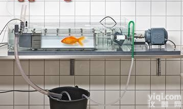 DAQ-M  <em>水生生物呼吸代谢测量系统</em>