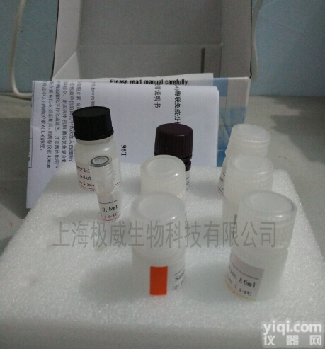 S-180-S2D9<em>细胞</em>「鼠<em>肉瘤</em><em>细胞</em>」