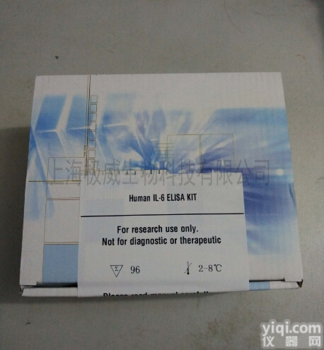 U14-GFP细胞「绿色<em>荧光蛋白</em>标记<em>小鼠</em><em>子宫颈</em><em>癌细胞</em>」