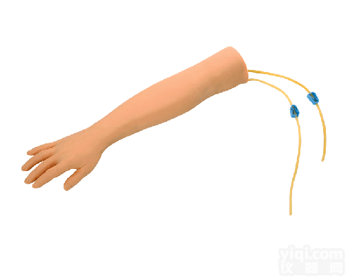 CB/HS1  <em>静脉</em>穿刺手臂训练模型,<em>静脉</em><em>输液</em>手臂模型