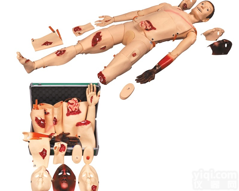 CB/J110  <em>高级</em><em>创伤</em>训练<em>模型</em>,<em>高级</em><em>创伤</em><em>模型</em>