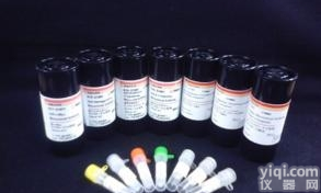 Polymer双染检<em>测试剂</em>盒（Mo/HRP+Rb/AP）<em>小鼠</em>/兔标本免...