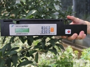 <em>叶面积</em><em>测量仪</em>分析<em>叶面积</em><em>指数</em>测定的直接方法