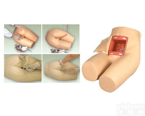 CB/H35  <em>灌肠</em>和<em>辅助</em><em>排便</em>训练模型