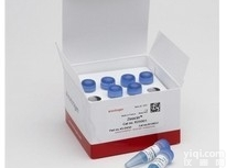 200-12p40  <em>重组</em>人<em>白介素</em>-12 p40 （<em>Human</em> IL-12 p40）Pepr...