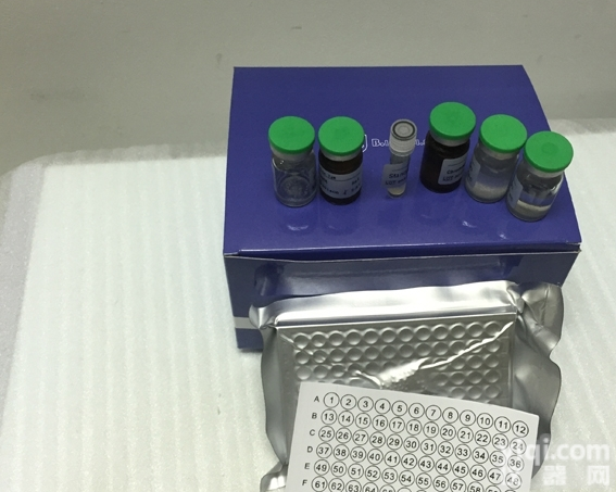 北京科研专用  大鼠<em>试剂盒</em>免疫<em>球蛋白</em>E（IgE）<em>ELISA</em>定量检测说明书